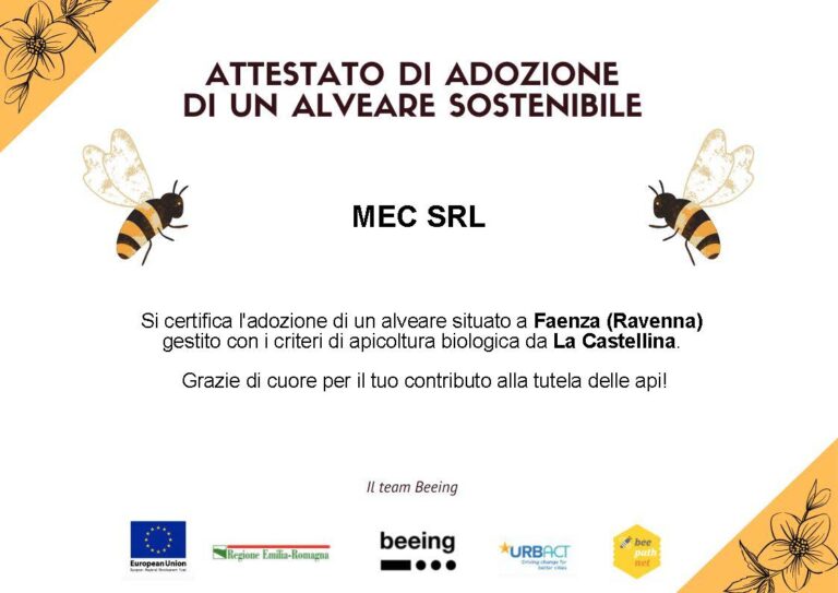 attestato alveare sostenibile 3